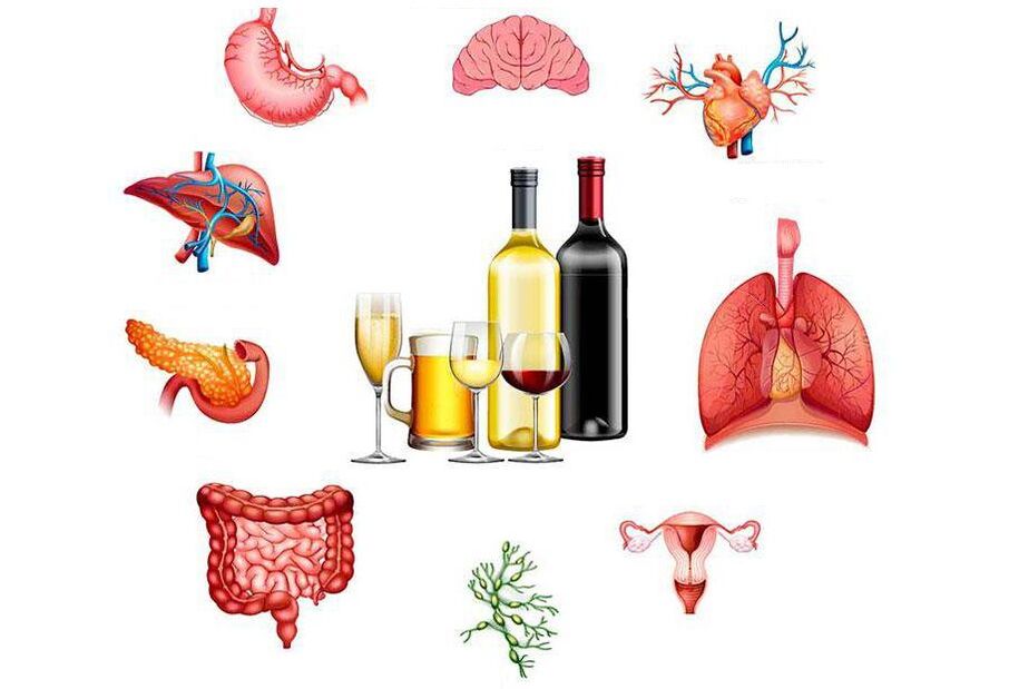 вплив алкоголю на організм